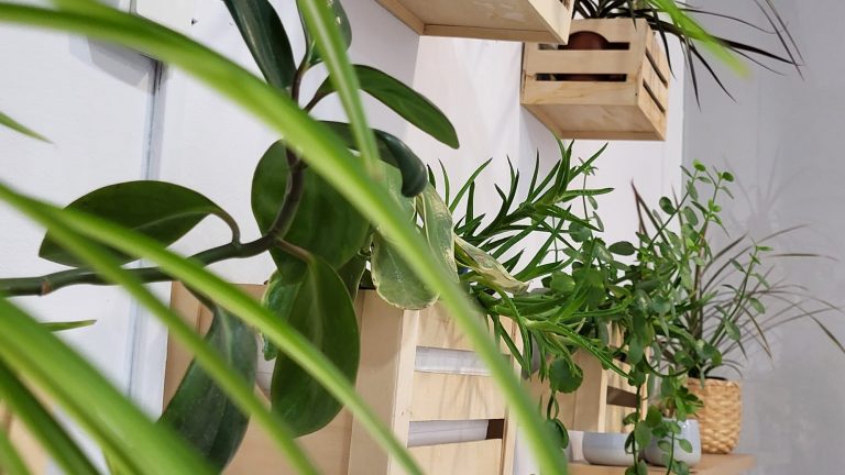 Despacho clínica Cuarto de Contadores