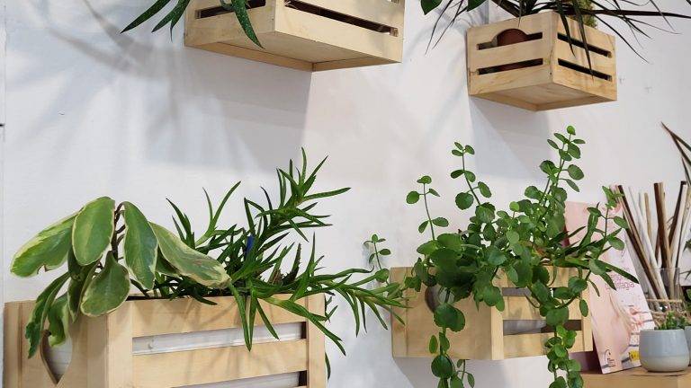 Despacho clínica Cuarto de Contadores