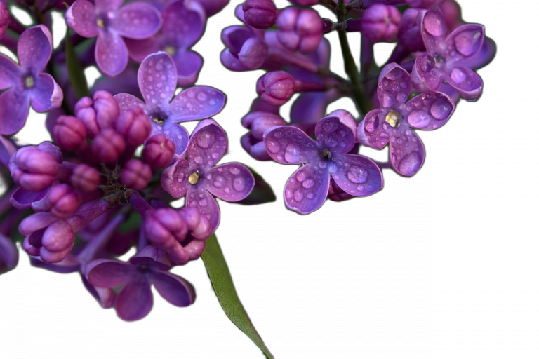 Cuarto de Contadores orientación familiar